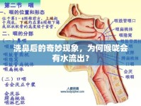 洗鼻后的奇妙現(xiàn)象，為何喉嚨會(huì)有水流出？