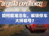 如何精準泊車，解鎖停車大師稱號？