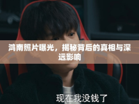 鴻南照片曝光，揭秘背后的真相與深遠(yuǎn)影響