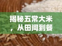 揭秘五常大米，從田間到餐桌的貴族之旅