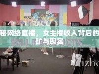 揭秘網(wǎng)絡(luò)直播，女主播收入背后的金礦與現(xiàn)實(shí)