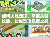 如何決勝足球，掌握關鍵攻略，助你登頂綠茵之巔？
