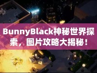 BunnyBlack神秘世界探索，圖片攻略大揭秘！