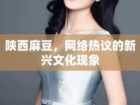 陜西麻豆，網(wǎng)絡(luò)熱議的新興文化現(xiàn)象