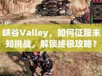 峽谷Valley，如何征服未知挑戰(zhàn)，解鎖終極攻略？