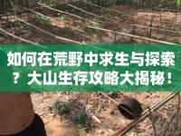 如何在荒野中求生與探索？大山生存攻略大揭秘！