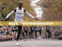 鹿道之秘，一張照片背后的自然與生命哲學