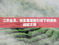 江蘇鹽溪，新發(fā)展藍(lán)圖引領(lǐng)下的綠色崛起之路