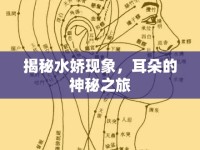 揭秘水嬌現(xiàn)象，耳朵的神秘之旅