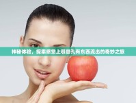 神秘體驗(yàn)，探索感覺上顎鼻孔有東西流出的奇妙之旅