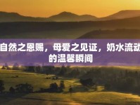 自然之恩賜，母愛之見證，奶水流動(dòng)的溫馨瞬間
