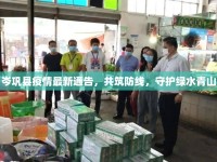 岑鞏縣疫情最新通告，共筑防線，守護(hù)綠水青山