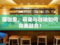 貓咖里，萌寵與咖啡如何完美融合？