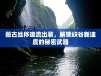 薇古絲移速流出裝，解鎖峽谷新速度的秘密武器