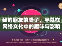 我的朋友的妻子，字幕在網(wǎng)絡文化中的趣味與影響