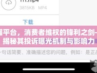 黑貓平臺，消費者維權(quán)的鋒利之劍——揭秘其投訴曝光機制與影響力