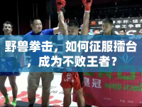 野獸拳擊，如何征服擂臺，成為不敗王者？