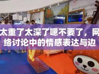 太重了太深了嗯不要了，網(wǎng)絡(luò)討論中的情感表達(dá)與邊界探索