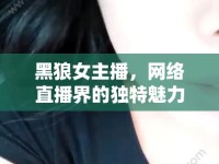 黑狼女主播，網(wǎng)絡(luò)直播界的獨特魅力與不凡之路