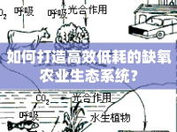 如何打造高效低耗的缺氧農(nóng)業(yè)生態(tài)系統(tǒng)？