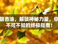 銀杏油，解鎖神秘力量，你不可不知的終極指南！