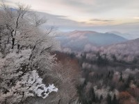 夢(mèng)幻誅仙手游金幣總是不夠用？這份高效獲取與利用秘訣你試過(guò)了嗎？