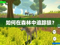 如何在森林中追蹤狼？