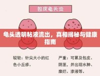 龜頭透明粘液流出，真相揭秘與健康指南