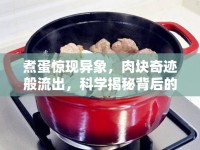 煮蛋驚現(xiàn)異象，肉塊奇跡般流出，科學(xué)揭秘背后的不可思議