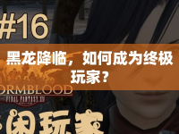 黑龍降臨，如何成為終極玩家？