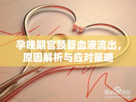 孕晚期宮頸管血液流出，原因解析與應對策略