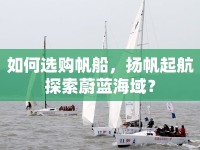 如何選購帆船，揚(yáng)帆起航探索蔚藍(lán)海域？