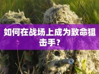 如何在戰(zhàn)場上成為致命狙擊手？