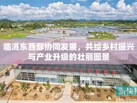 臨洮東西部協(xié)同發(fā)展，共繪鄉(xiāng)村振興與產(chǎn)業(yè)升級的壯麗圖景