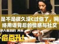 是不是很久沒C過你了，網(wǎng)絡(luò)用語背后的情感與社交變遷