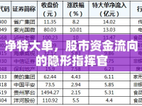 凈特大單，股市資金流向的隱形指揮官