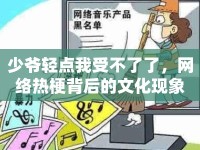 少爺輕點(diǎn)我受不了了，網(wǎng)絡(luò)熱梗背后的文化現(xiàn)象