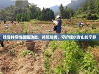 錢塘村疫情最新動態(tài)，共筑防線，守護綠水青山的寧靜