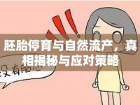 胚胎停育與自然流產(chǎn)，真相揭秘與應(yīng)對策略