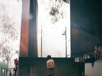 為什么國產(chǎn)綜合圖區(qū)能成為多元魅力的新焦點？
