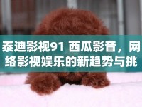 泰迪影視91 西瓜影音，網(wǎng)絡(luò)影視娛樂的新趨勢與挑戰(zhàn)