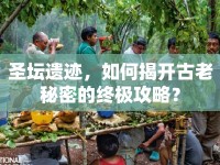 圣壇遺跡，如何揭開古老秘密的終極攻略？