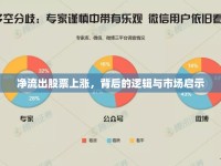 凈流出股票上漲，背后的邏輯與市場啟示