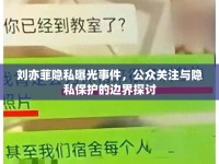 劉亦菲隱私曝光事件，公眾關注與隱私保護的邊界探討