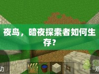 夜鳥，暗夜探索者如何生存？