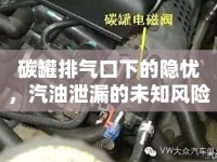 碳罐排氣口下的隱憂，汽油泄漏的未知風(fēng)險(xiǎn)