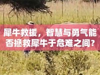 犀牛救援，智慧與勇氣能否拯救犀牛于危難之間？