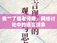 我艸了騷老師哦，網(wǎng)絡(luò)討論中的語言現(xiàn)象