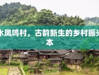 麗水鳳鳴村，古韻新生的鄉(xiāng)村振興樣本