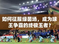 如何征服綠茵場，成為球王爭霸的終極王者？